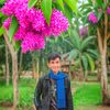 alif08537