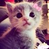 cheriierssky