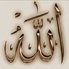 user61041811156585
