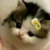 kngocmisskhangg
