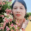 v.hu.71
