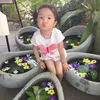 thiendi_dth