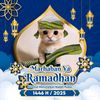 pp.kucing.ramadhan.folow