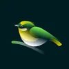user8683202081668
