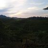kael.saragih