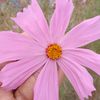 sahal.islam4