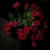 ur___hanon85