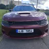 korinek_bro