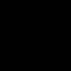 r304980