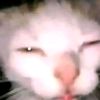 ........hanntuu