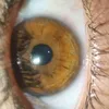 david_3inad