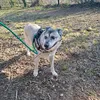 rosanna_5758