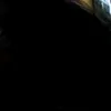 lilym.a4