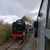 olis.train.accoun