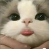 nathaliadiaz1238meche