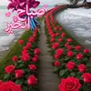 wwwali140.com