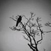 eyad.selim_