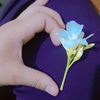 wassimwassim4347