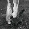 tab_1884