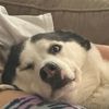 thatdoggirl865