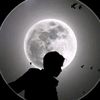 mrmahmoud.1