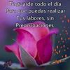 irenemonsalve598