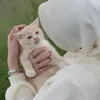 𓆩𝑯𝑶𝑫𝑨𓆪