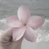 leila.pppriv