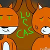 lu_e_cas_1