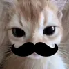 anton.volkov7