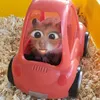 cutii.qu