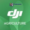 TSIT.DJI