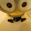 iann_668