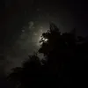jazzz_127