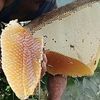 m.sugiarto7