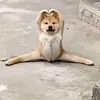 hii__n