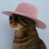 gatadetouca