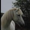 annea.kristoffers