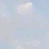 313_y.sh