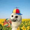 seal_loverr_