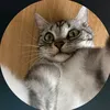 uxmizs