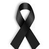 altin.lleshi5