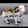 mojahid12hassan12