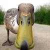 thatweirdguy3848