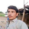 gamshad915877611720
