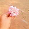 rumaisha.islam660