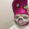 doradoradorahhh