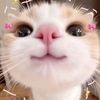 fay___265