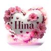 hinashah496