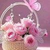 user9702669772071iamapae